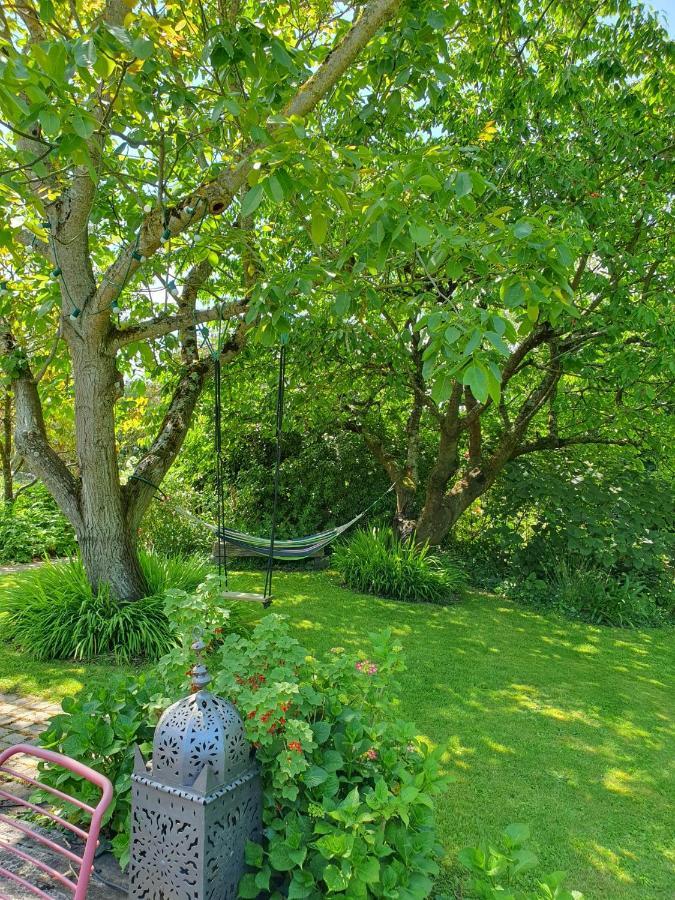 Maison En Pierre Dans Son Nid De Verdure Roz-Landrieux Eksteriør billede