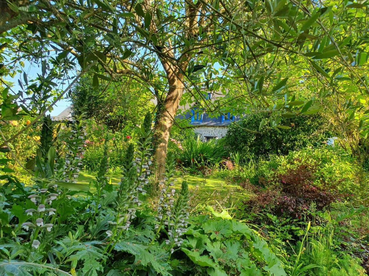 Maison En Pierre Dans Son Nid De Verdure Roz-Landrieux Eksteriør billede