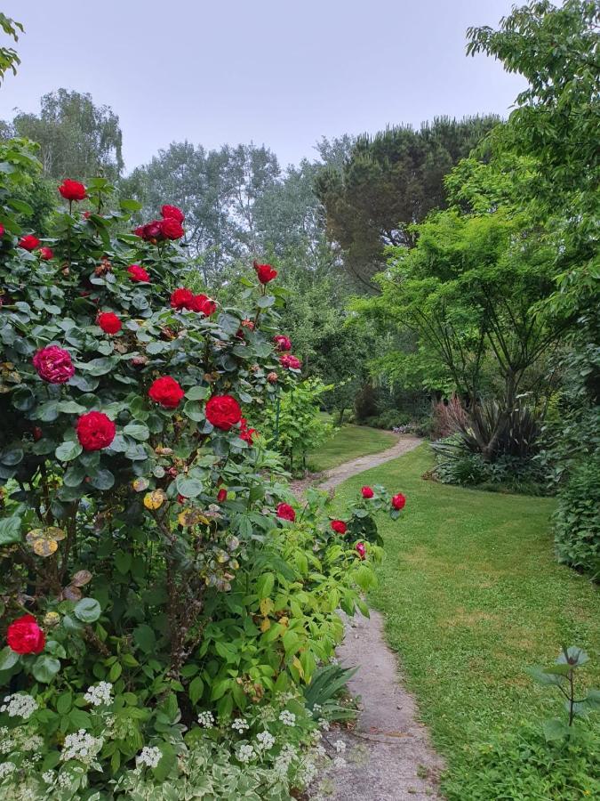 Maison En Pierre Dans Son Nid De Verdure Roz-Landrieux Eksteriør billede