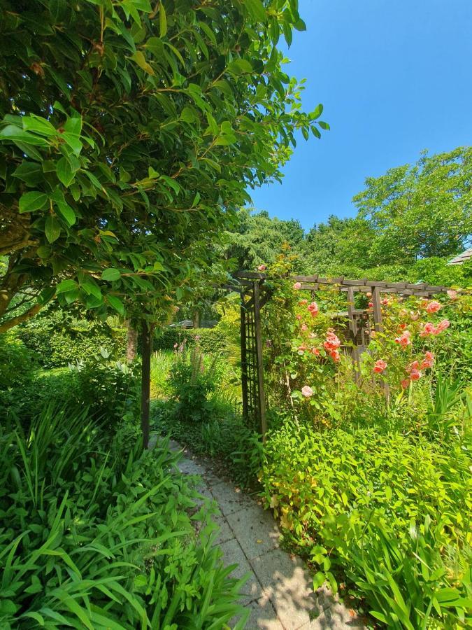 Maison En Pierre Dans Son Nid De Verdure Roz-Landrieux Eksteriør billede