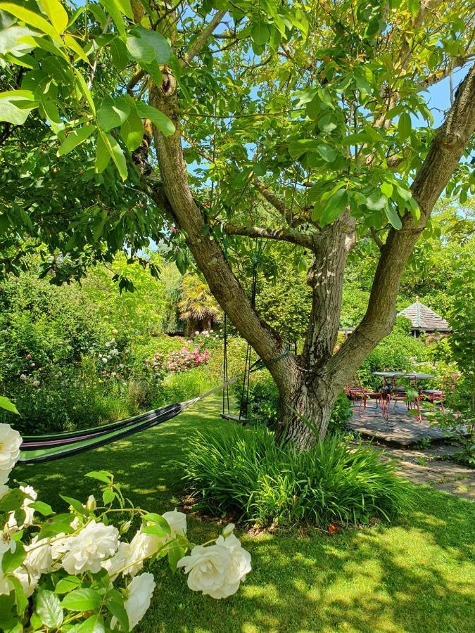 Maison En Pierre Dans Son Nid De Verdure Roz-Landrieux Eksteriør billede